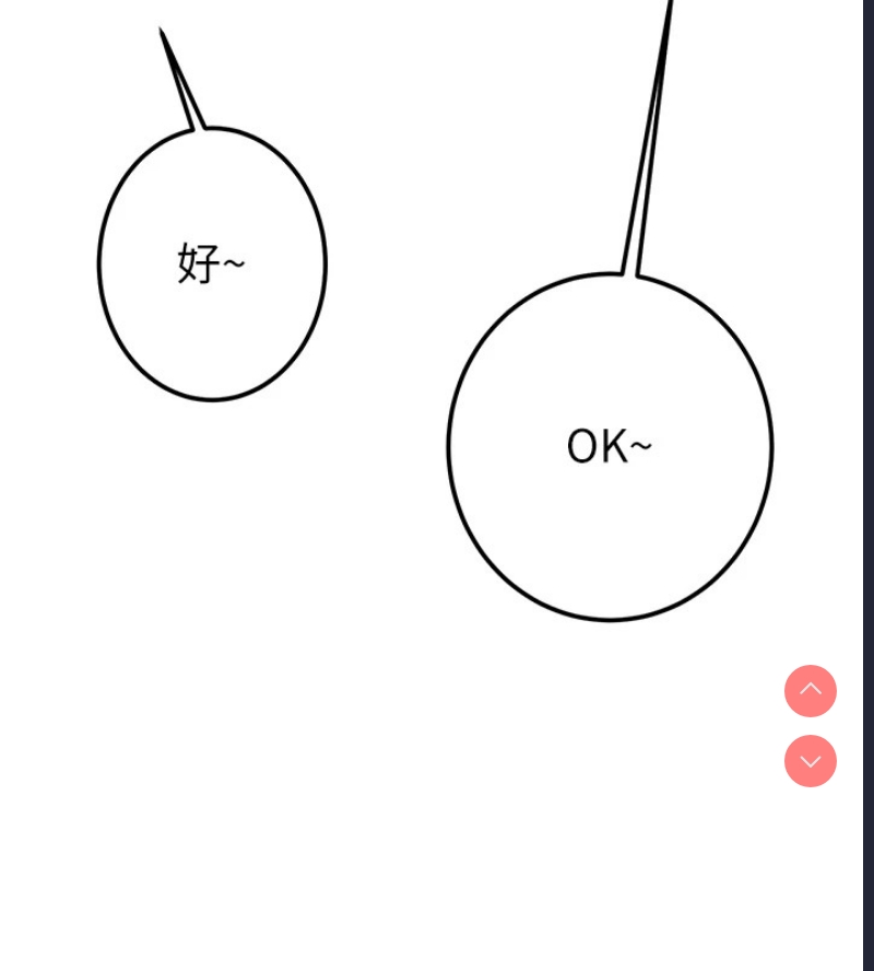 掠夺行动