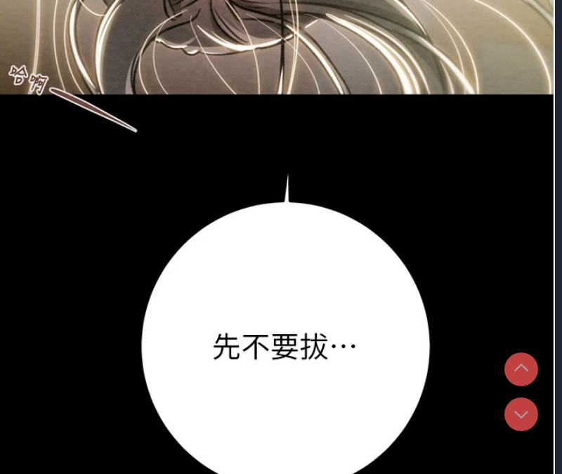 掠夺行动