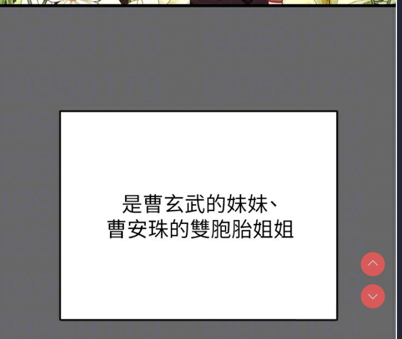 掠夺行动