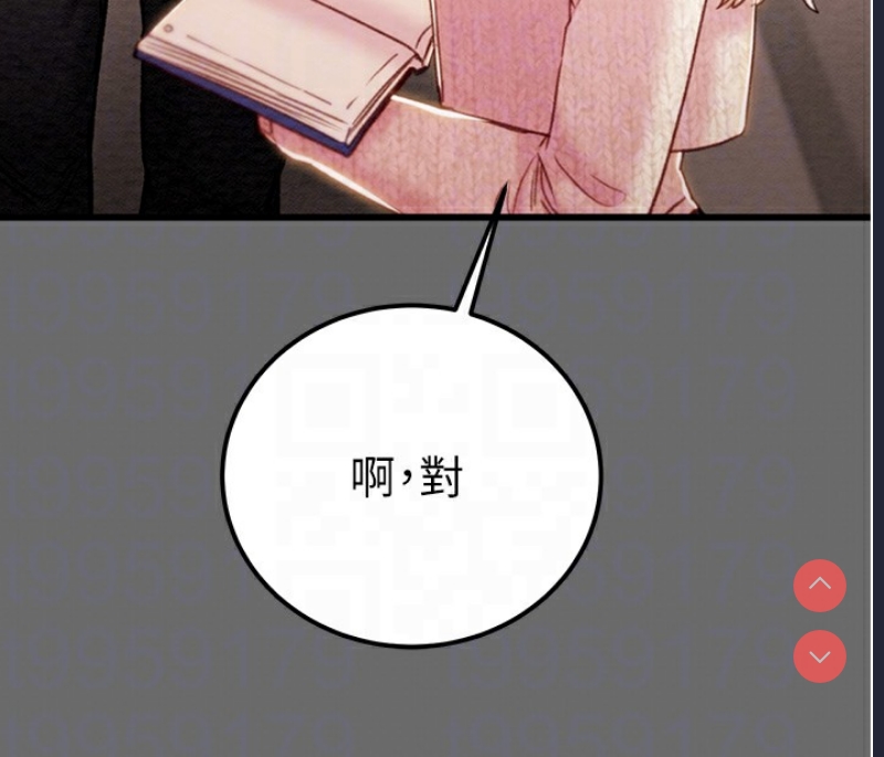 掠夺行动
