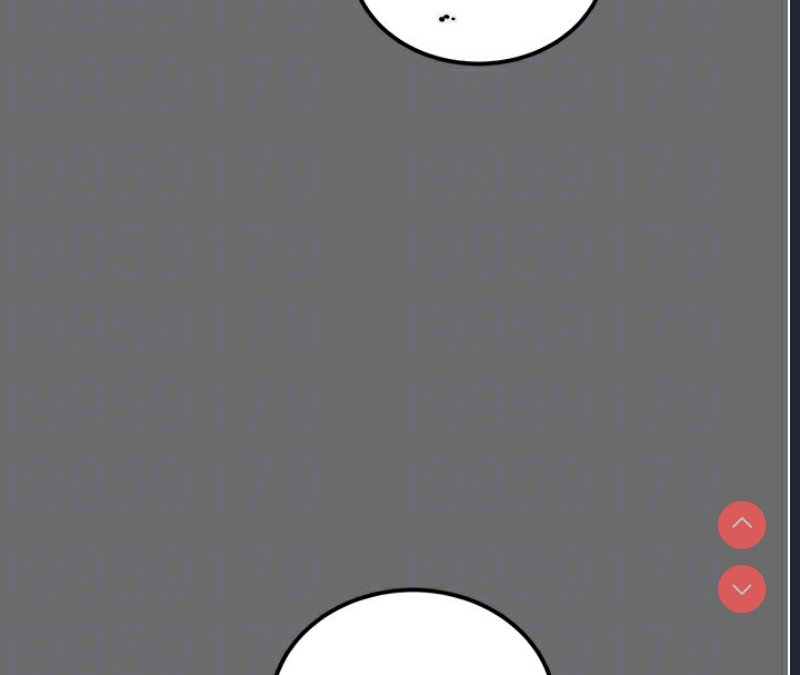 掠夺行动