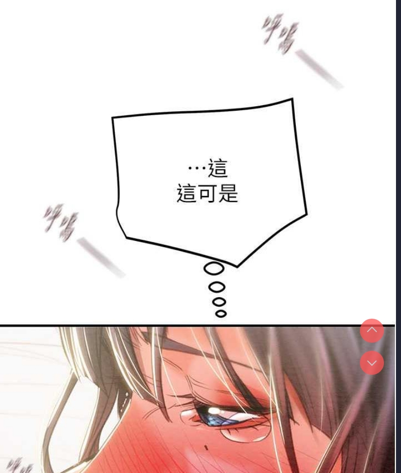 掠夺行动