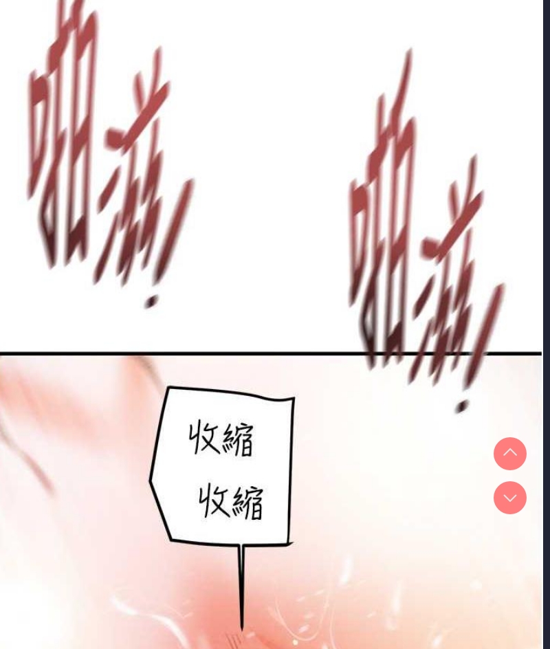 掠夺行动