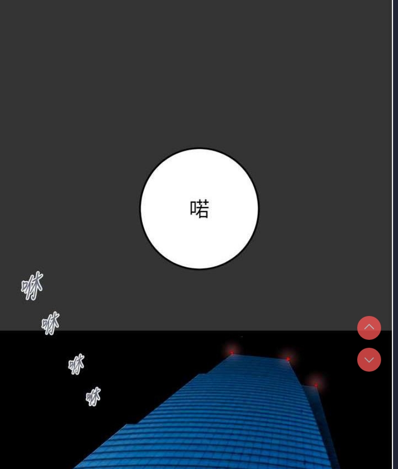 掠夺行动
