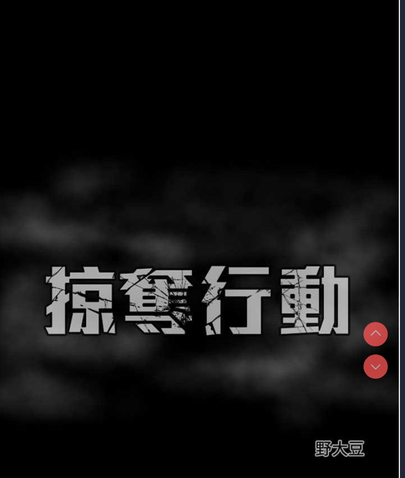 掠夺行动
