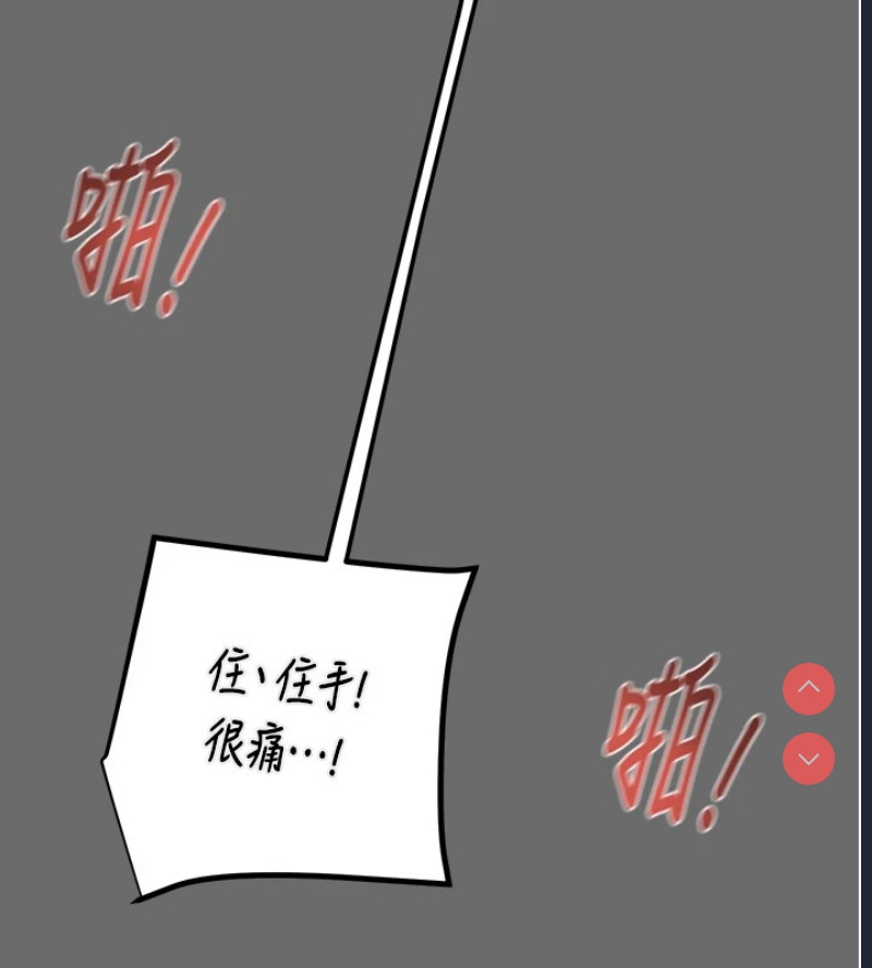掠夺行动