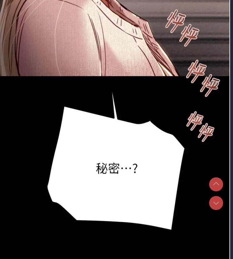 掠夺行动
