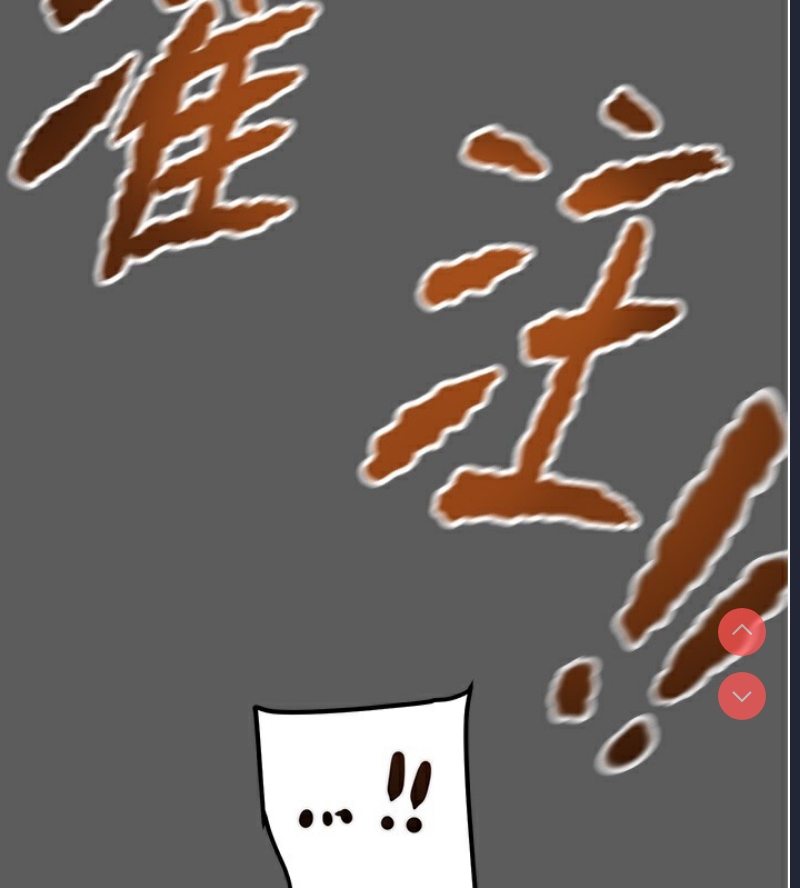 掠夺行动
