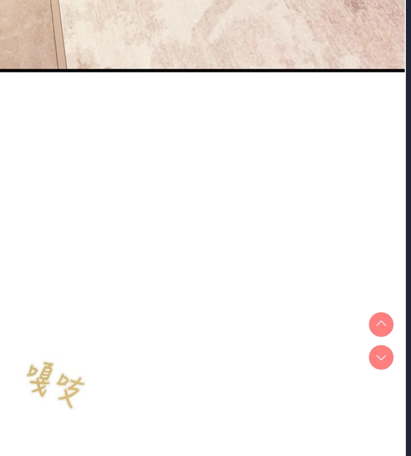 掠夺行动