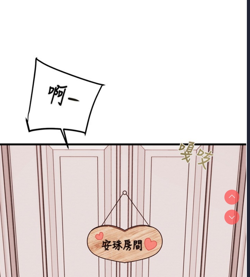 掠夺行动
