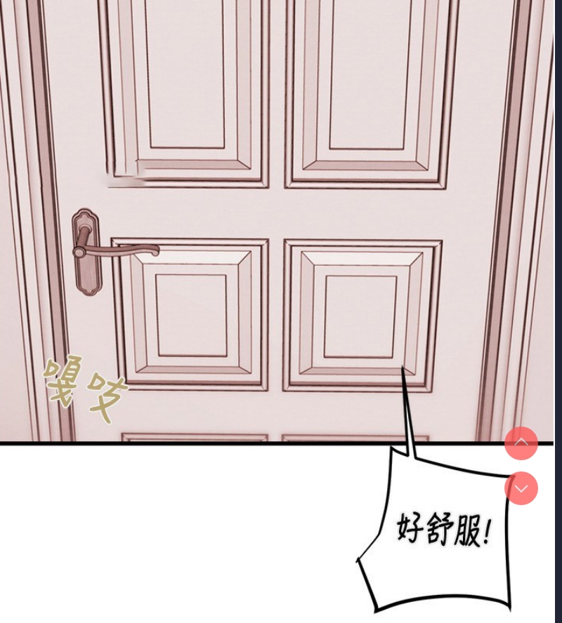 掠夺行动