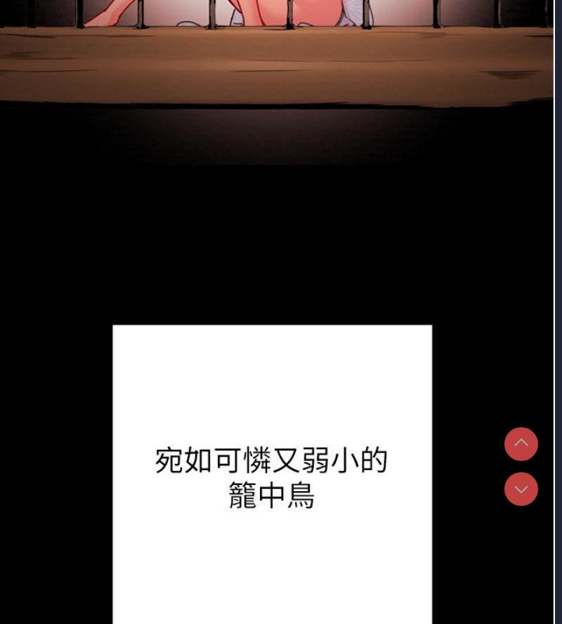 掠夺行动