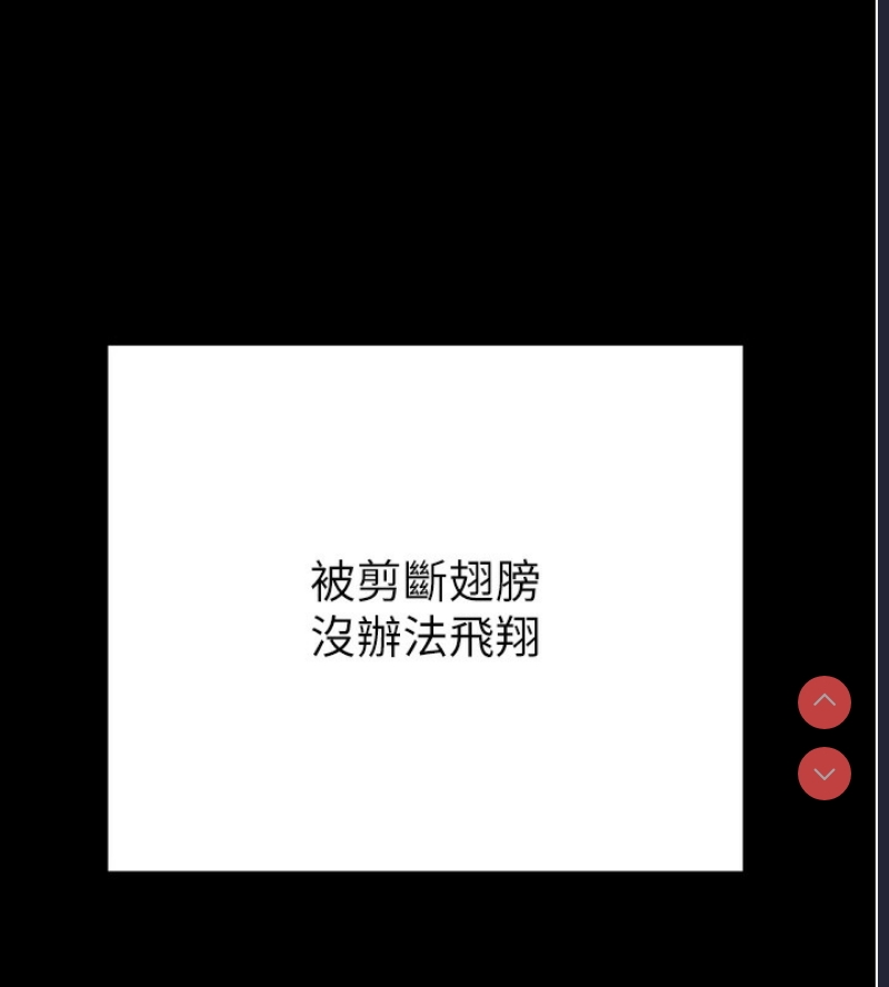 掠夺行动