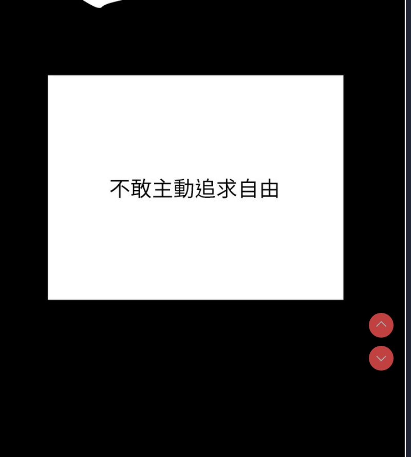 掠夺行动