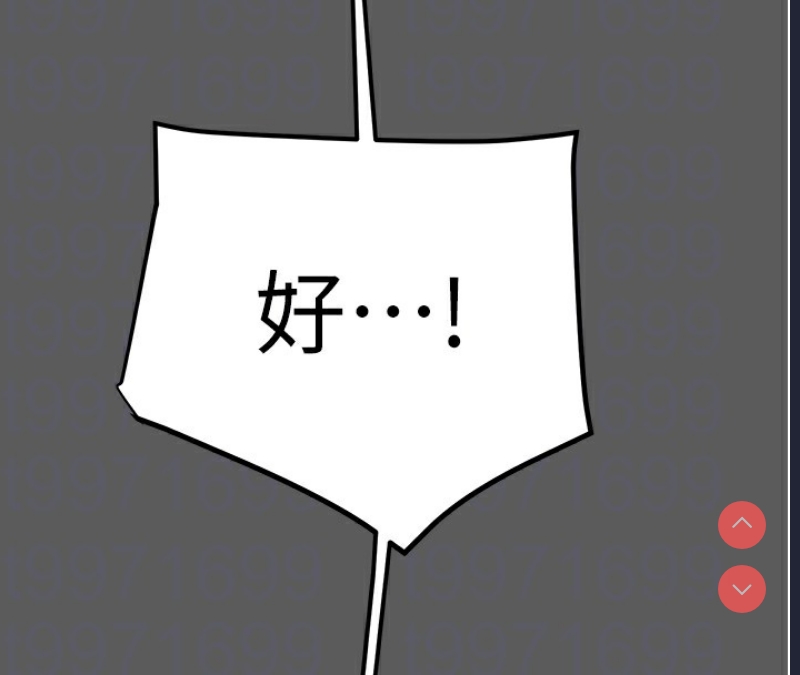 掠夺行动