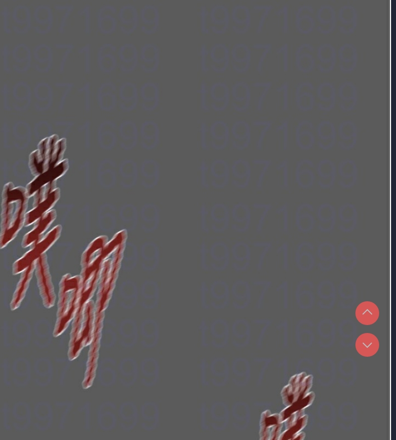 掠夺行动
