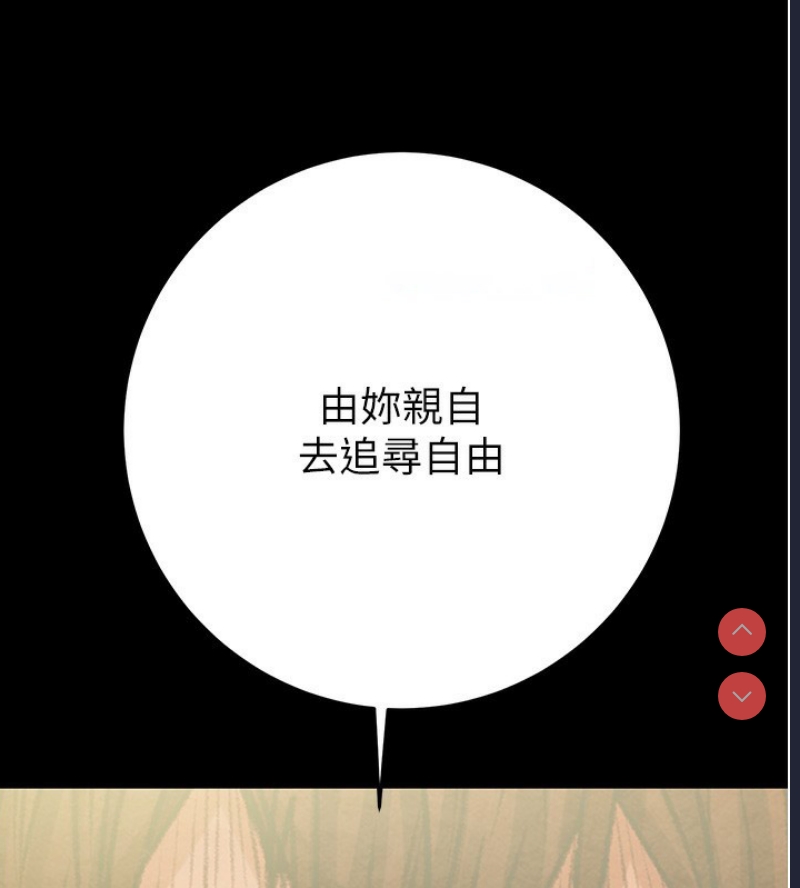 掠夺行动