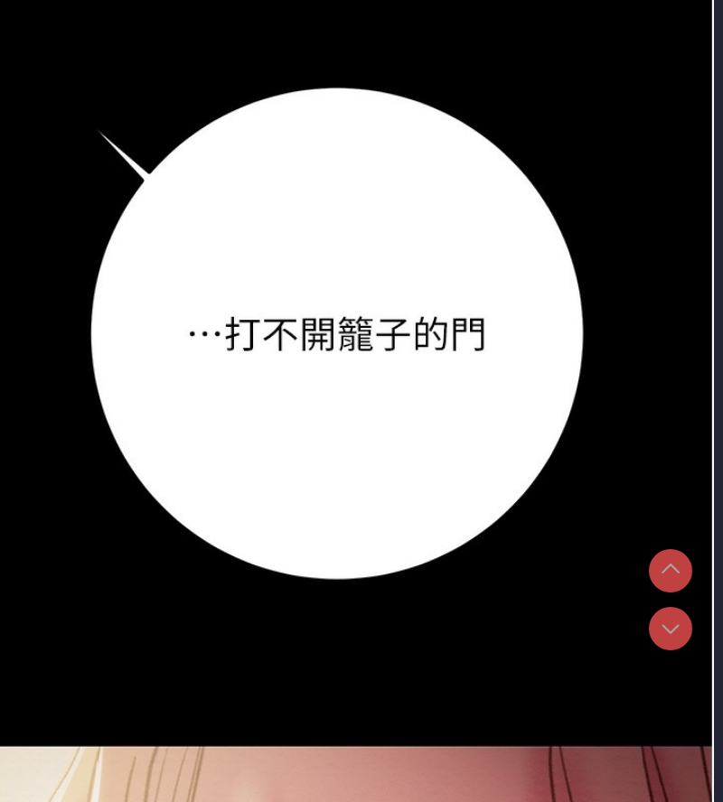 掠夺行动