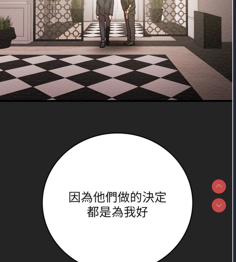 掠夺行动