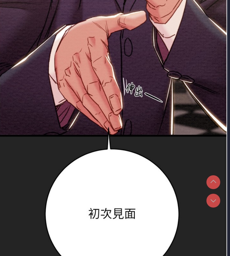 掠夺行动