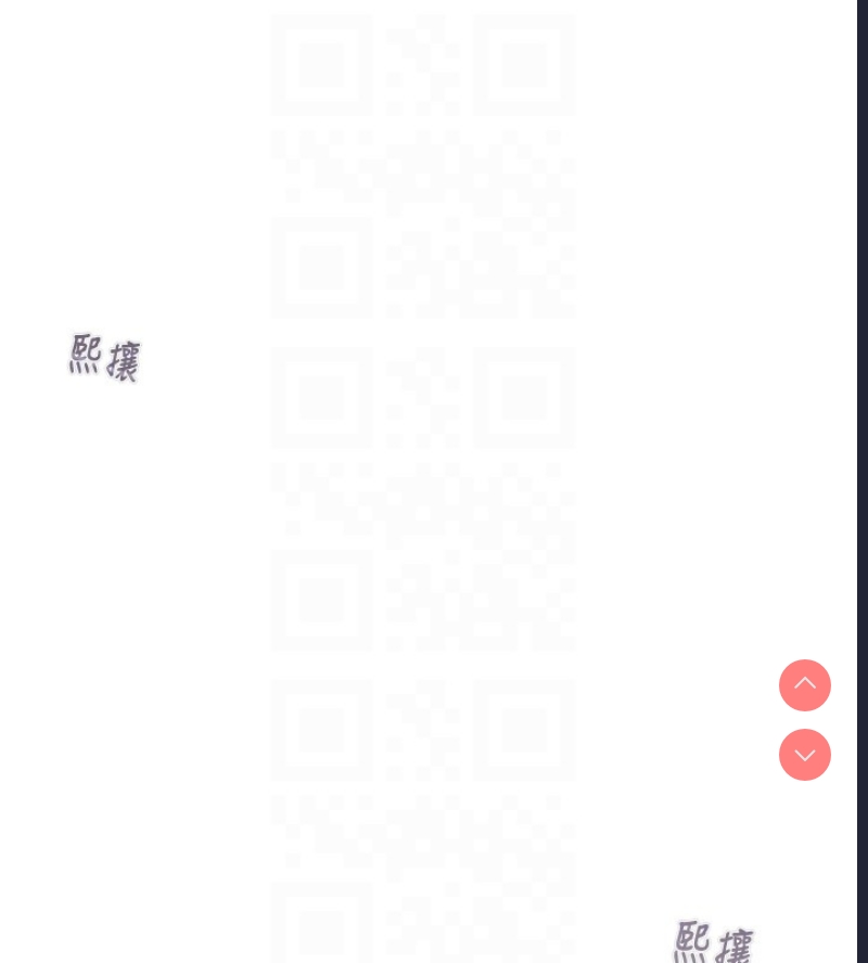 掠夺行动