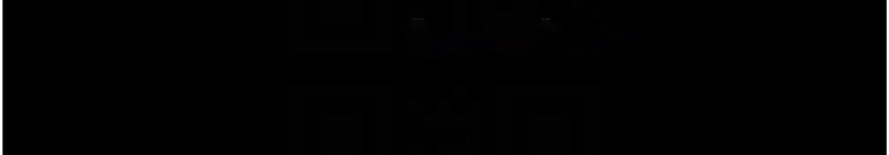 掠夺行动