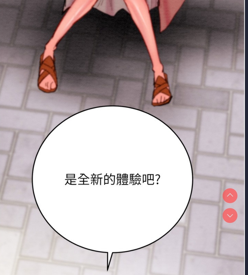 掠夺行动
