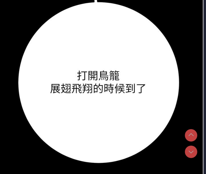 掠夺行动