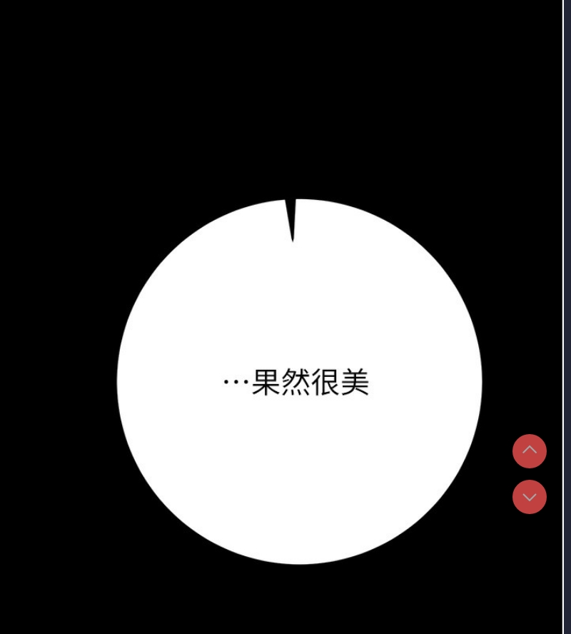 掠夺行动