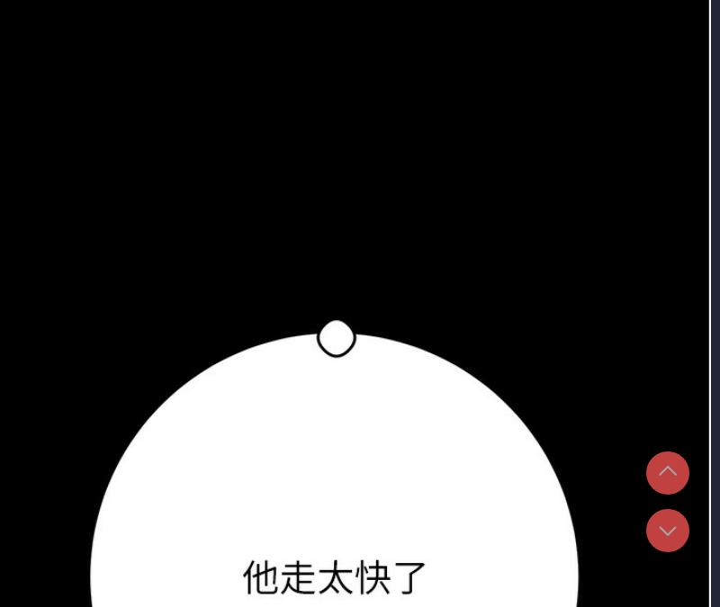 掠夺行动