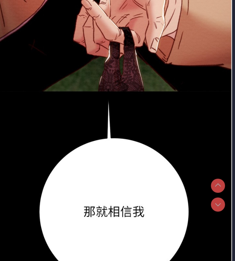 掠夺行动