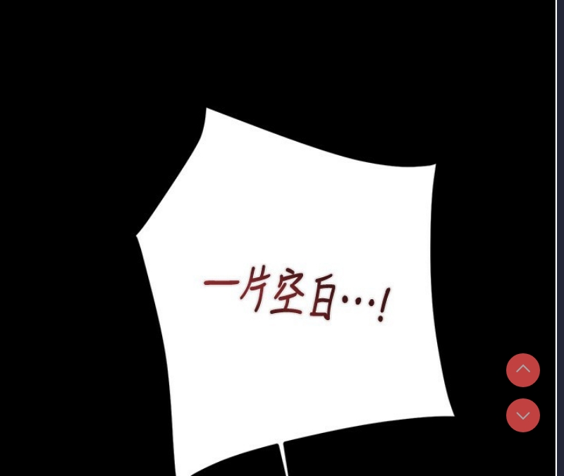 掠夺行动
