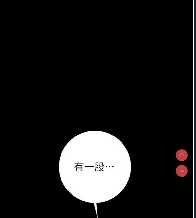 掠夺行动