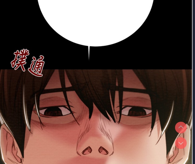 掠夺行动