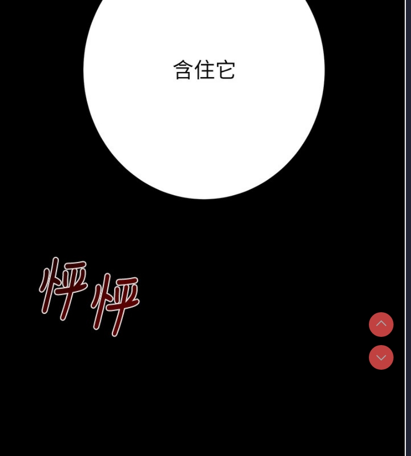 掠夺行动