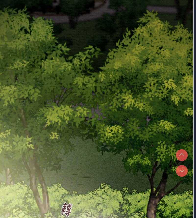 掠夺行动
