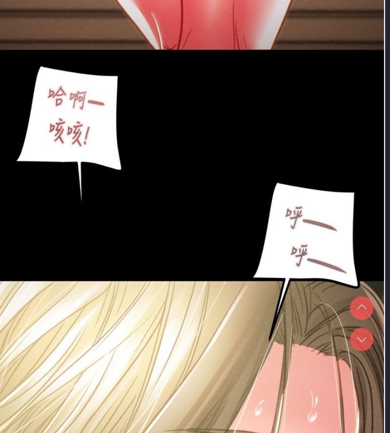 掠夺行动