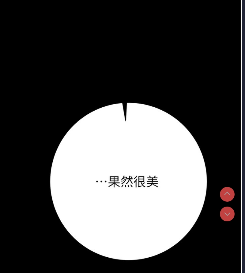 掠夺行动
