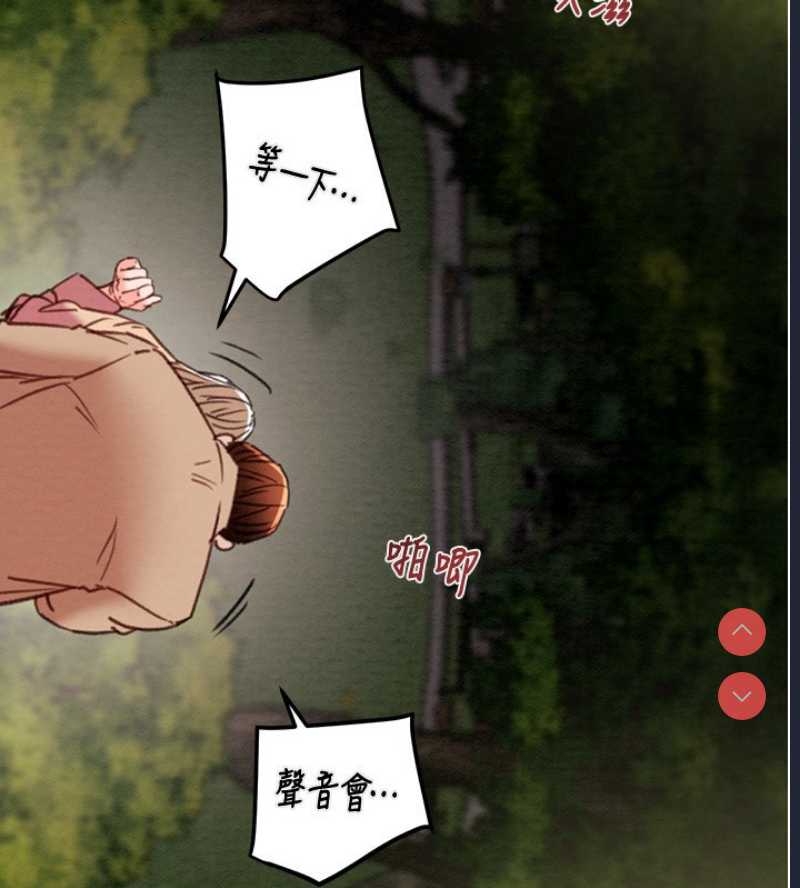 掠夺行动