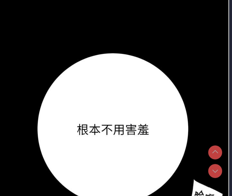 掠夺行动