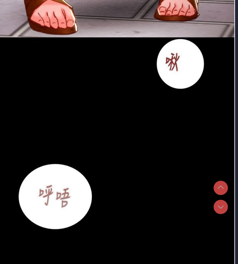 掠夺行动