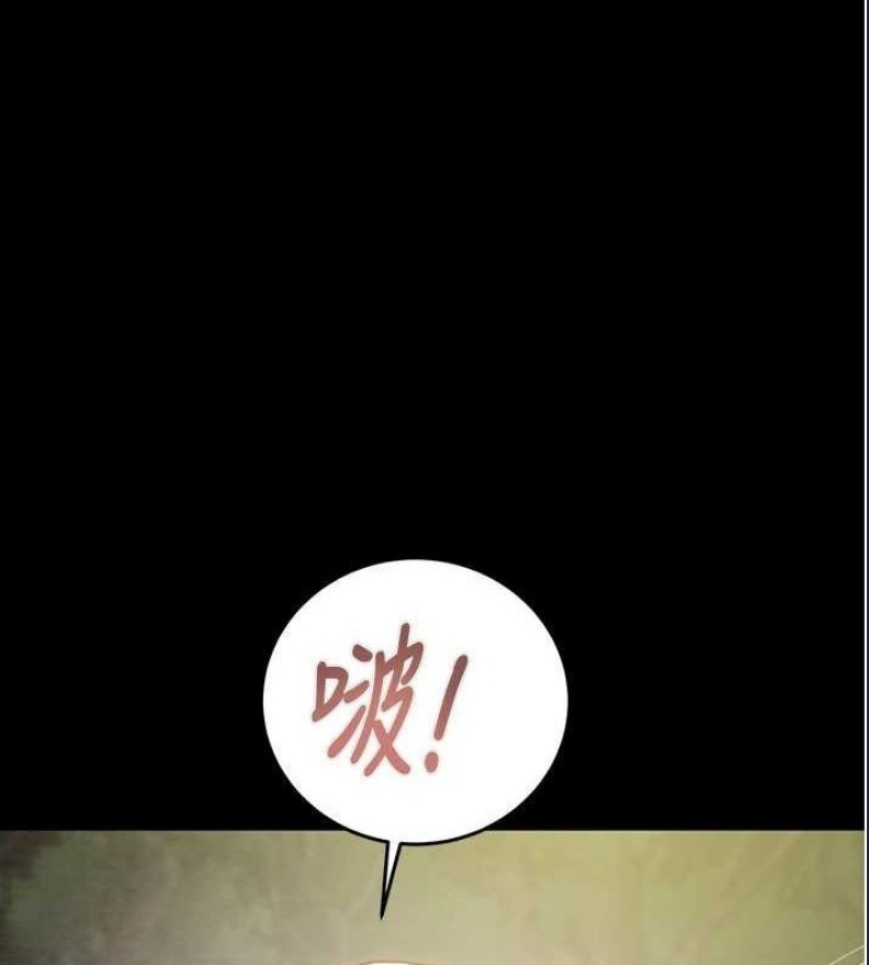 掠夺行动
