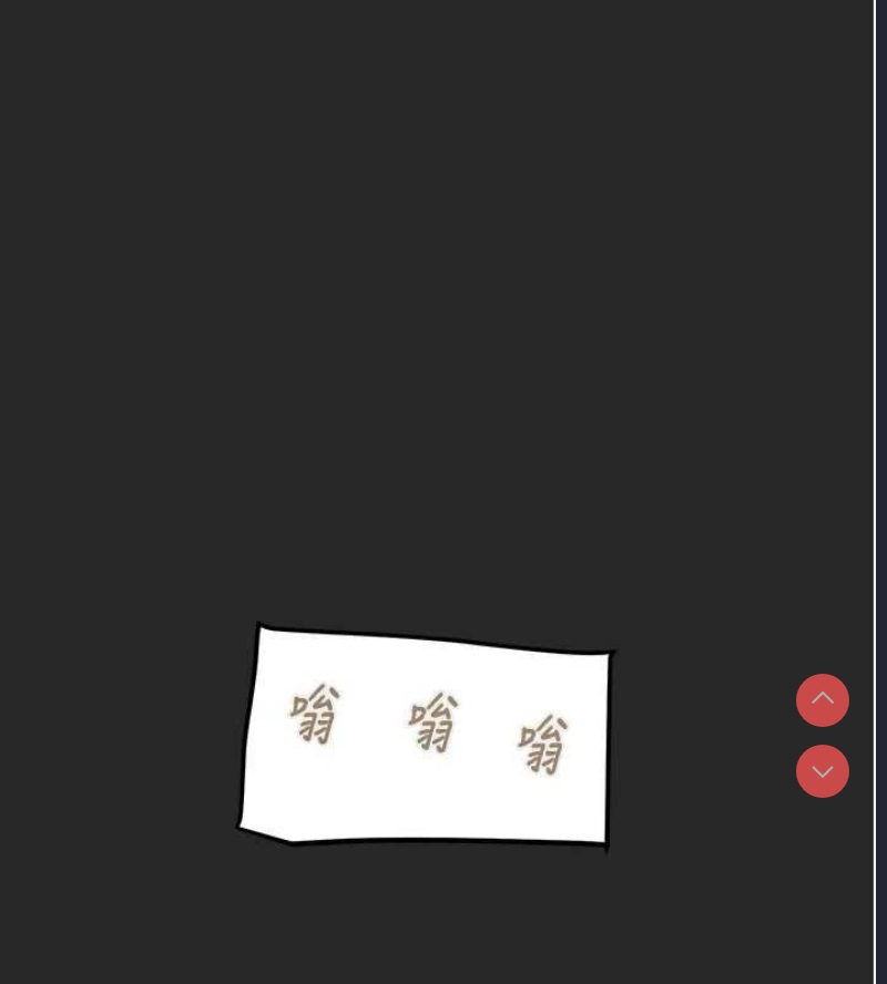 掠夺行动
