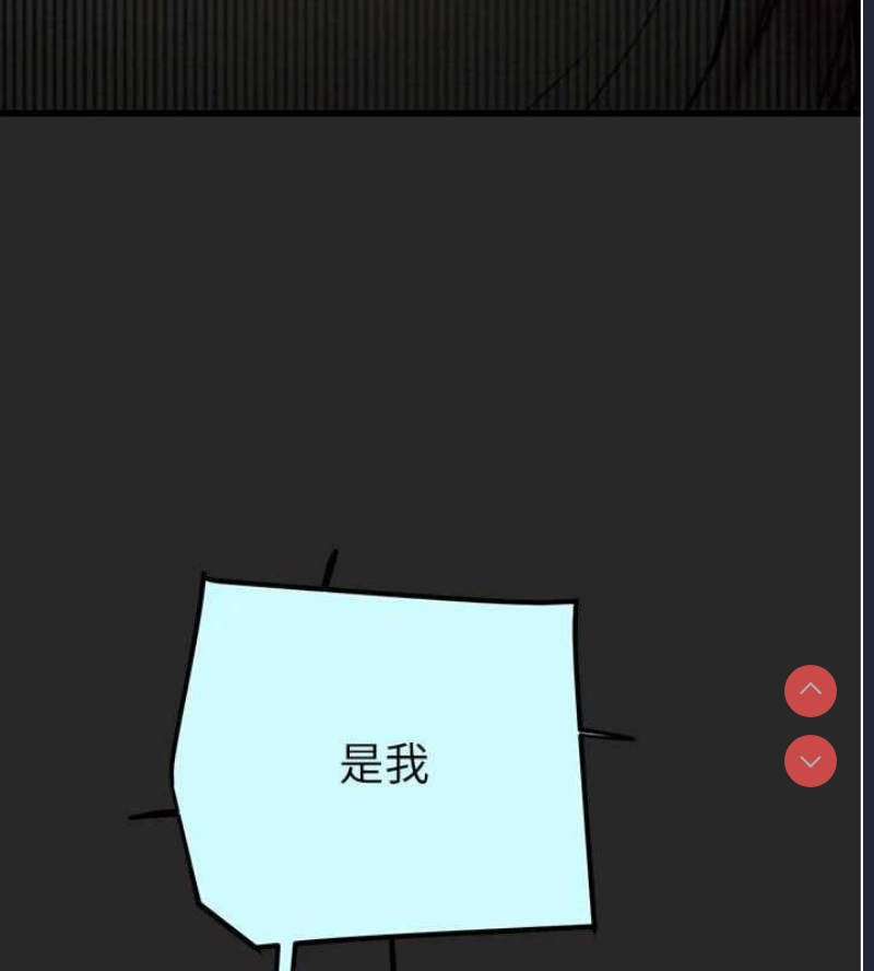 掠夺行动