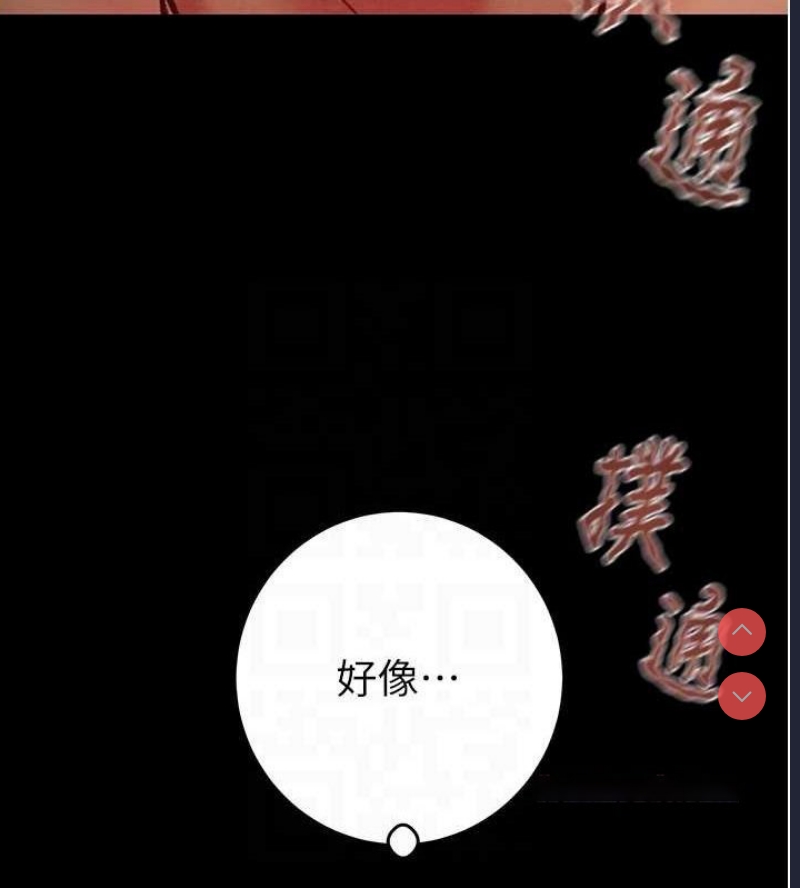 掠夺行动