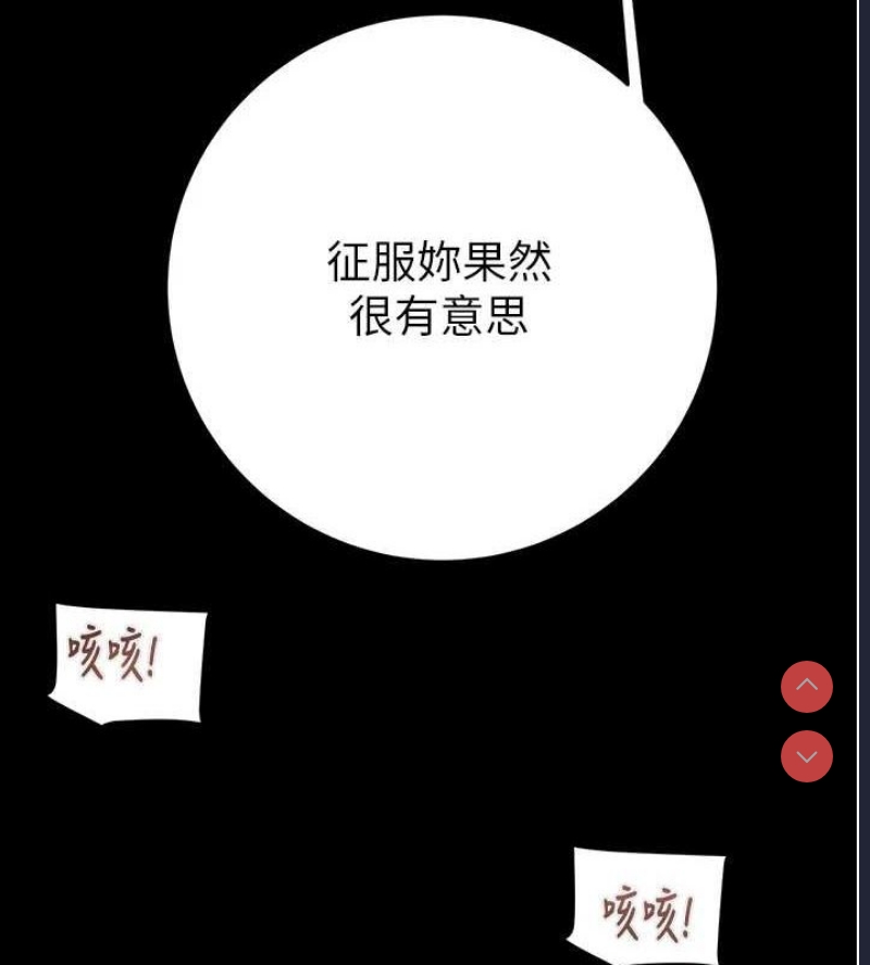 掠夺行动