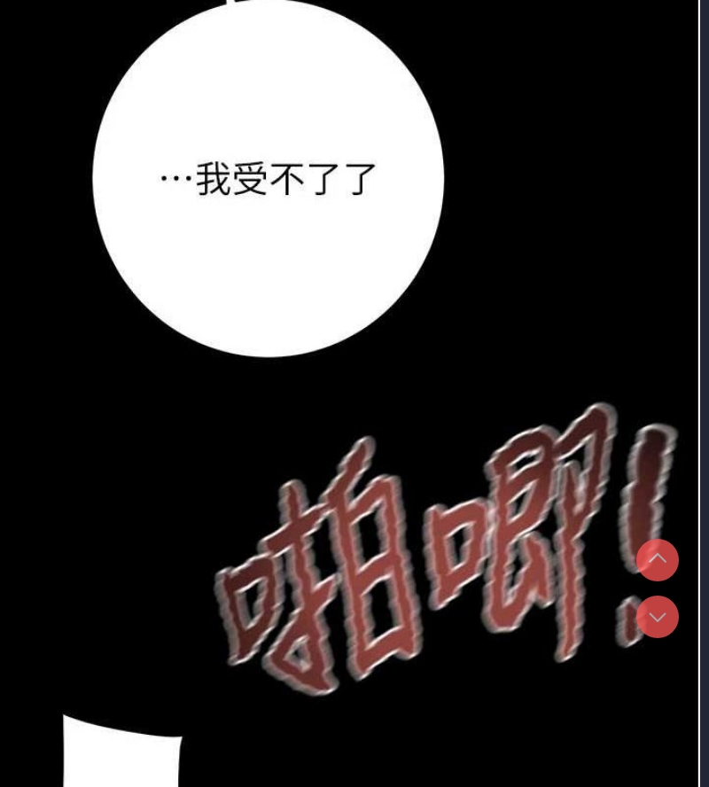 掠夺行动