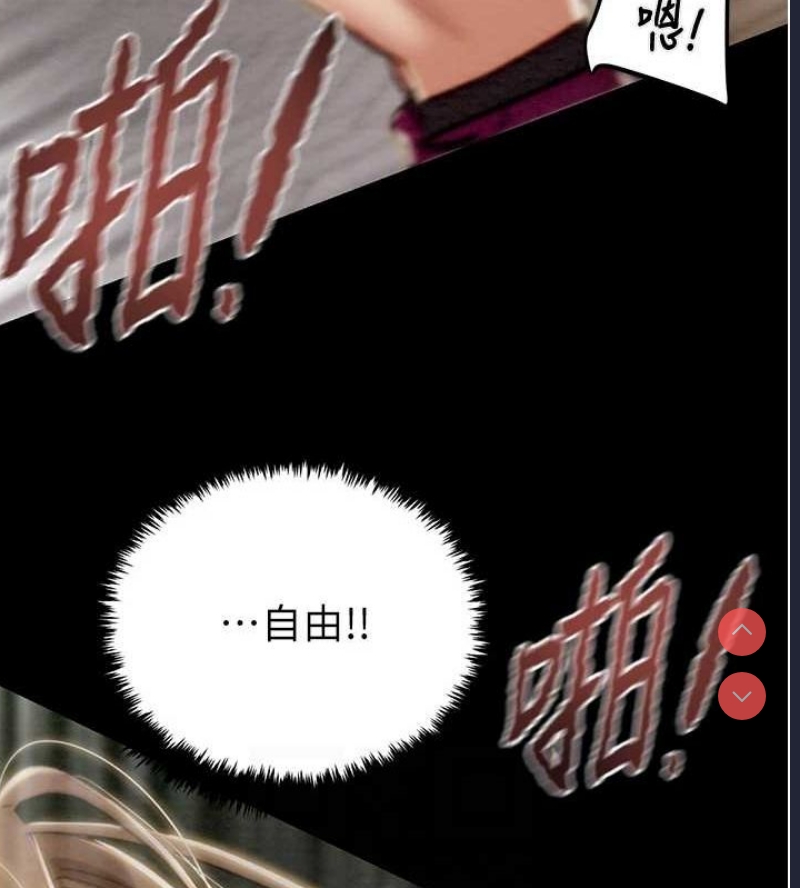 掠夺行动