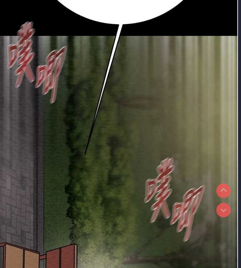 掠夺行动