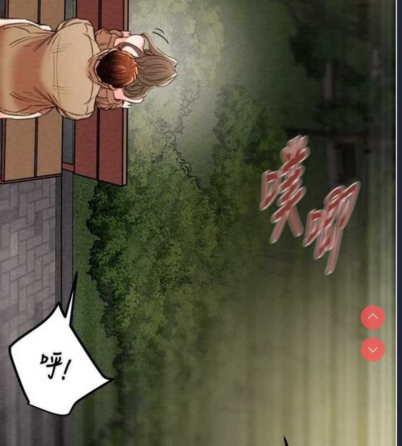 掠夺行动
